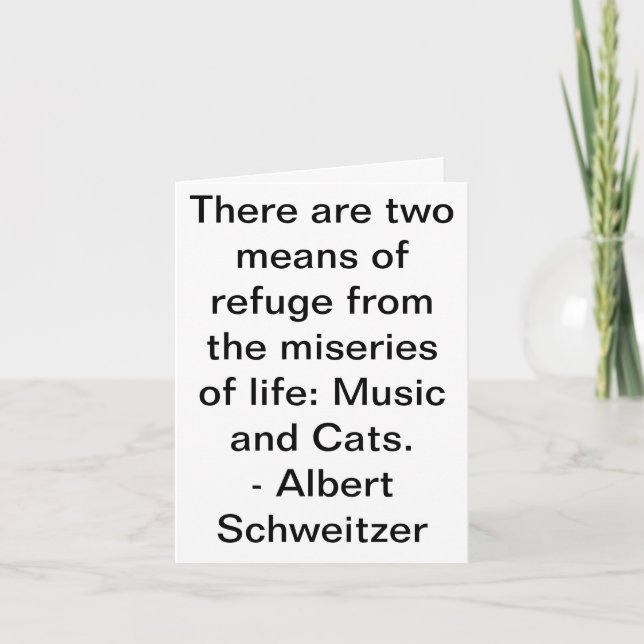 Musik und Katzen Karte (Vorderseite)