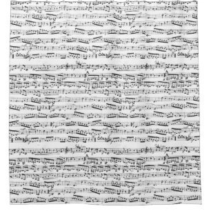 Musikalische Schwarzweiss-Anmerkungen Duschvorhang