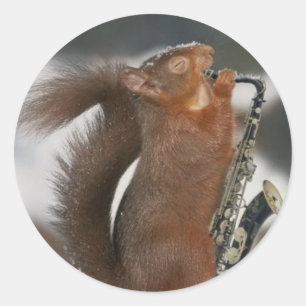 Musikalischer Eichhörnchen-Aufkleber Runder Aufkleber