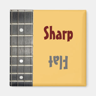 Musiker-scharfer flacher Stimmungs-Magnet Magnet