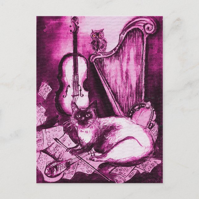 MUSIKKATZE UND OWL, rosa violett und weiß Postkarte (Vorderseite)