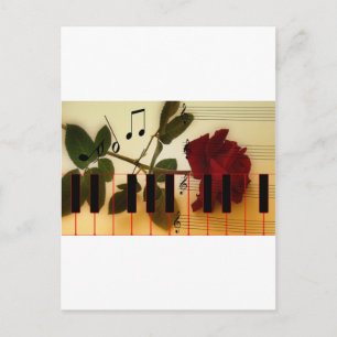 Musiknoten Tastatur Rote Rose Blossom Destiny Postkarte