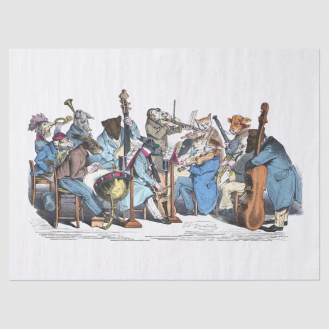 MUSIKSPRACHE TIERLANDE ORCHESTER Geburtstag Seidenpapier (Vorderseite)