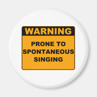 Musiktheater Magnet