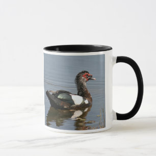 Musique Canard Mug