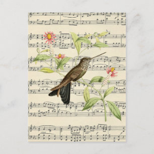 musique vintage de carte postale botanique de coli