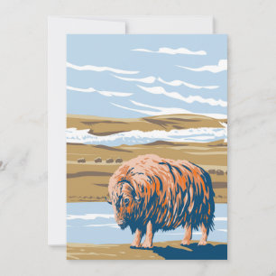 Musk Ox Einladung