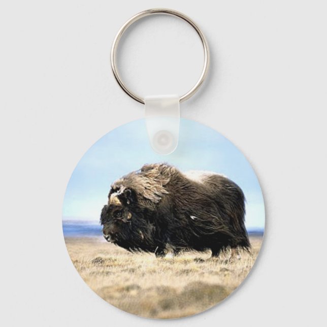 Musk Oxen Schlüsselanhänger (Vorderseite)