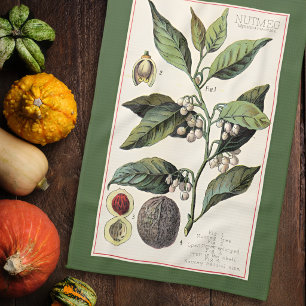 MUSKATNUSS - BOTANISCHE VINTAGE-ILLUSTRATION GESCHIRRTUCH