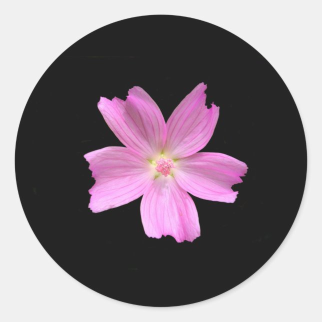 Muskeln-Mallow-Sticker Runder Aufkleber (Vorderseite)