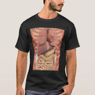 Muskeln organisieren Beängstigende Anatomie Lehrer T-Shirt