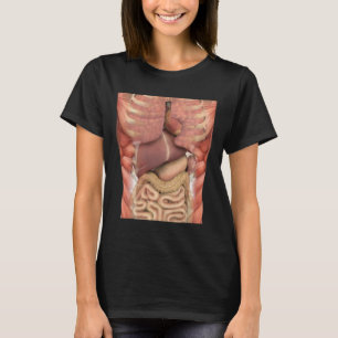 Muskeln organisieren Beängstigende Anatomie Lehrer T-Shirt