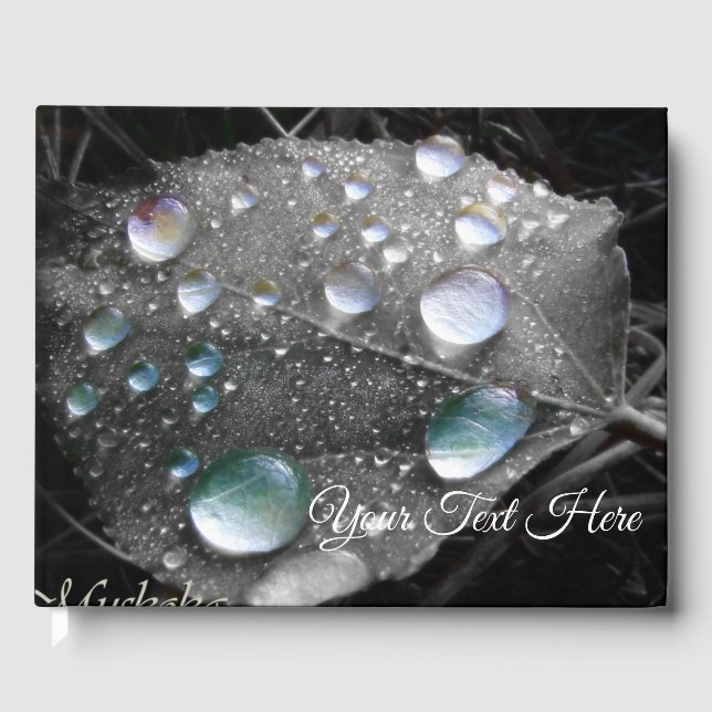 Muskoka Dew Drops Gästebuch (Vorderseite)