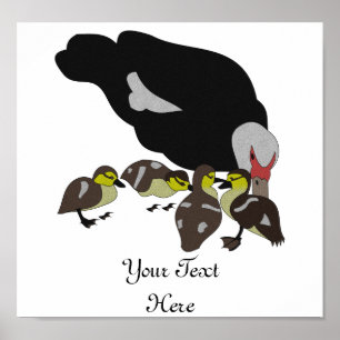 Muskovy Duck and Adorable Duckling Poster