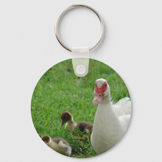 Muskovy Hen und Ducklings Schlüsselanhänger (Vorderseite)