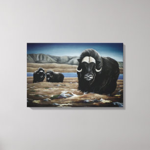 Muskox Malerei kanadische Wildtiere Canvas Print Leinwanddruck