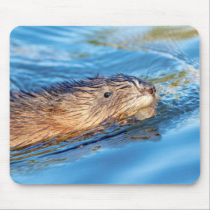 Muskrat in Vassar Farms Ökologische Reserve Mousepad