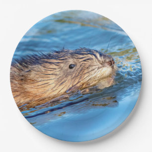 Muskrat in Vassar Farms Ökologische Reserve Pappteller