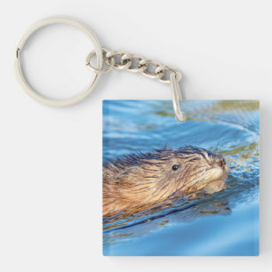 Muskrat in Vassar Farms Ökologische Reserve Schlüsselanhänger