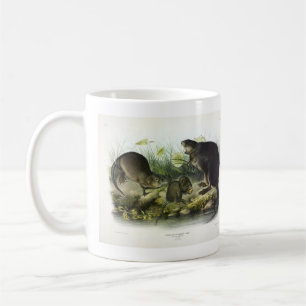 Muskrat von Audubons Quadrupeds aus Nordamerika Kaffeetasse