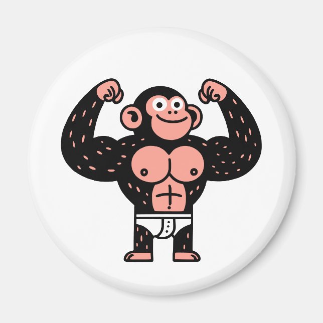 Muskulatur Magnet (Vorne)