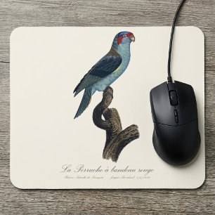 Muskuslorikit, Trichoglossus concinnus Mousepad