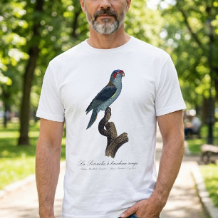 Muskuslorikit, Trichoglossus concinnus T-Shirt