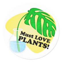 Muss Liebe Pflanze Monstera