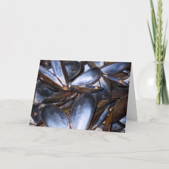 Mussel Muscheln Grußkarte Karte (Vorderseite)