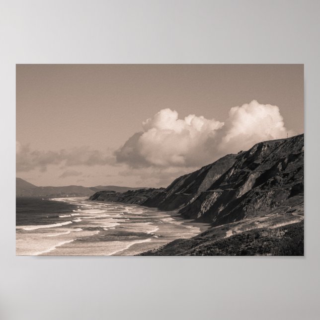 Mussel Poster (Vorne)