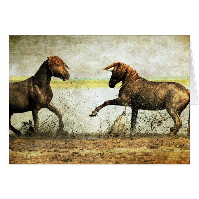 Mustang Battle (Vorderseite (Horizontal))
