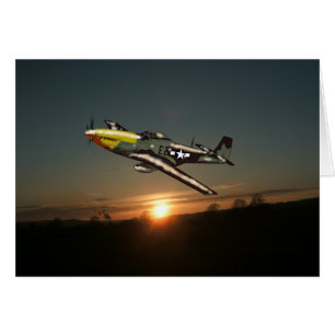 Mustang de coucher du soleil