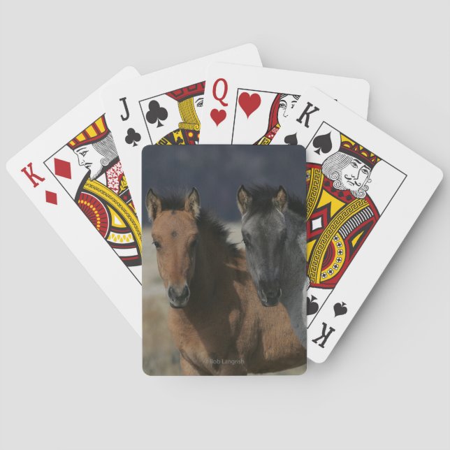 Mustang Foal Headshot Spielkarten (Rückseite)