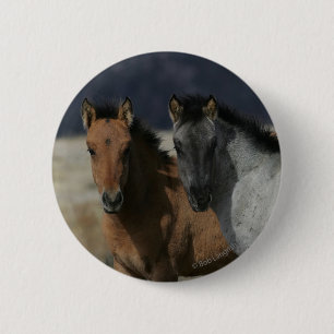 Mustang-FohlenHeadshot Button