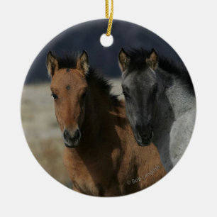 Mustang-FohlenHeadshot Keramik Ornament