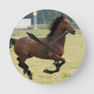 Mustang-galoppierende Uhr