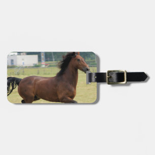 Mustang-galoppierender Gepäckanhänger