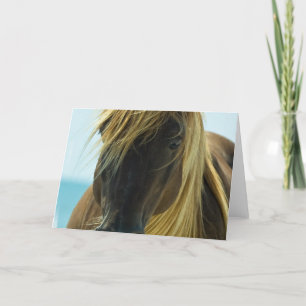 Mustang Greeting Card Karte