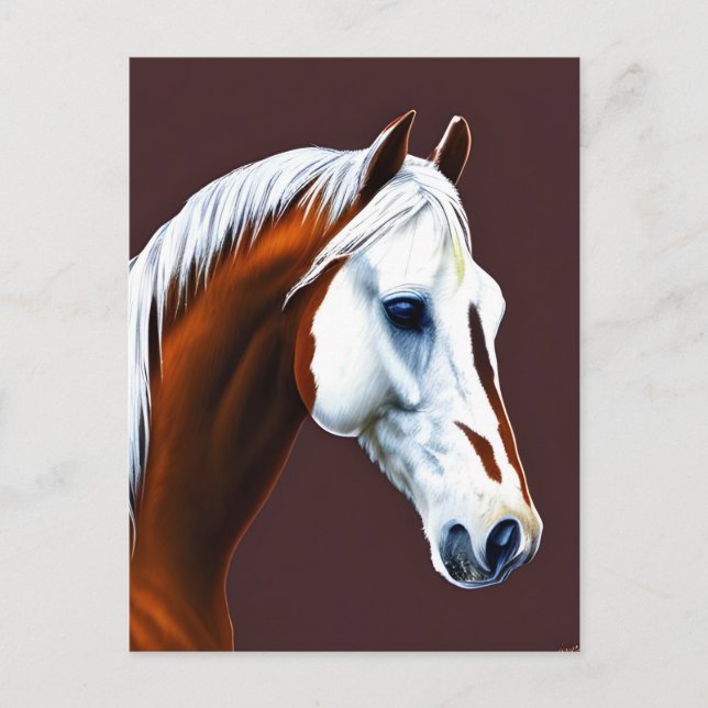 Mustang Horse Postcard Postkarte (Vorderseite)