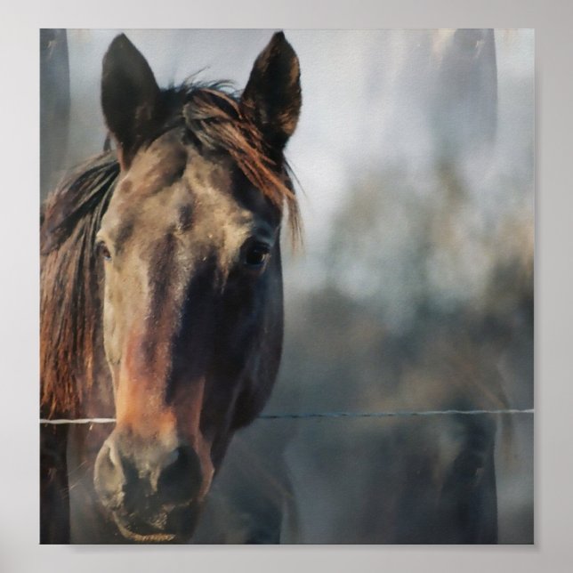 Mustang Horse Poster Print (Vorne)