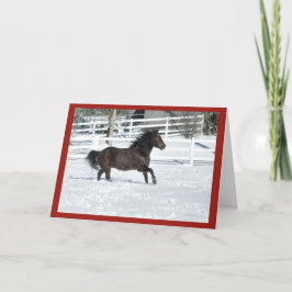 Mustang Horse Running in Snow Weihnachtskarte Karte