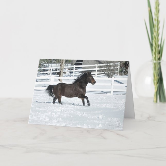 Mustang Horse Running in Snow Weihnachtskarte Karte (Vorderseite)