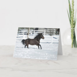 Mustang Horse Running Snow Frohen Festtage Card Karte