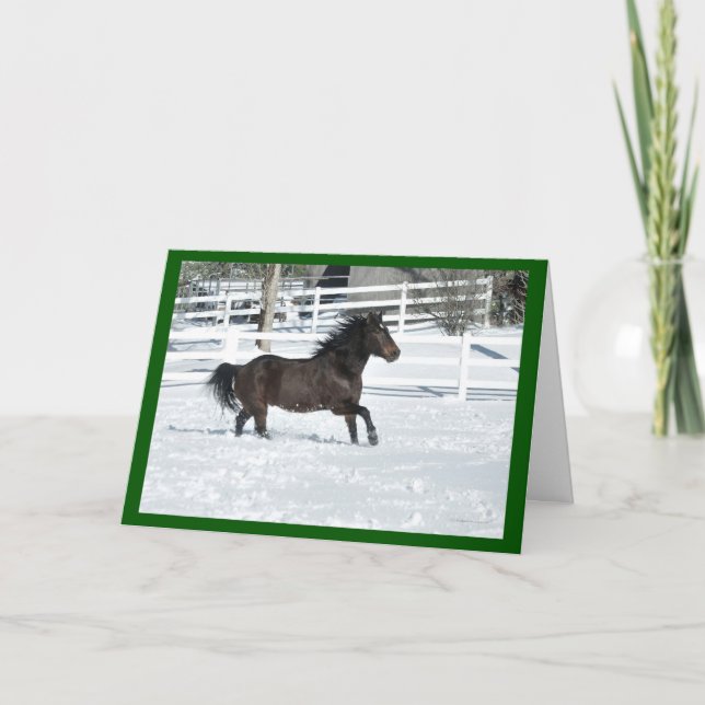 Mustang Horse Running Snow Seasons Grußkarte Karte (Vorderseite)