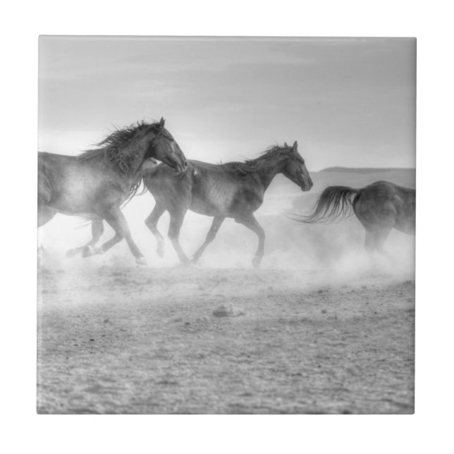 Mustang-Lauf Fliese (Vorderseite)
