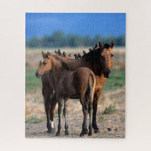 Mustang Mare und Foal Stehend mit Vögeln