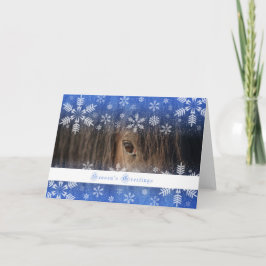 Mustang noir - carte des vacances 5x7