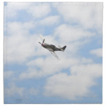 Mustang P51 im Flug