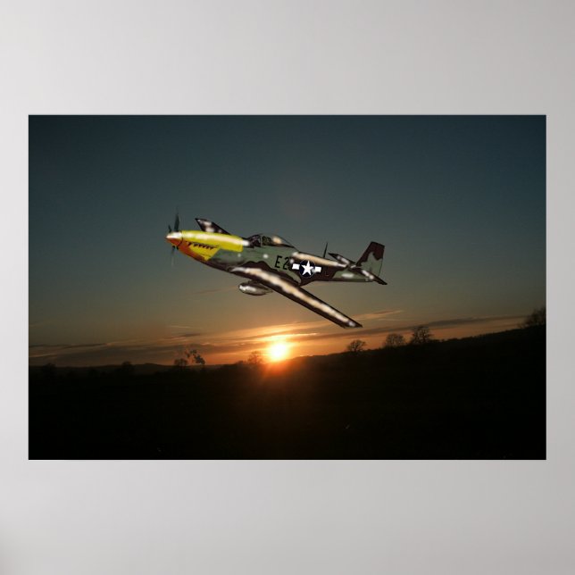 Mustang P51 Poster (Vorne)