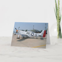 Mustang P-51D Luftfahrzeuge